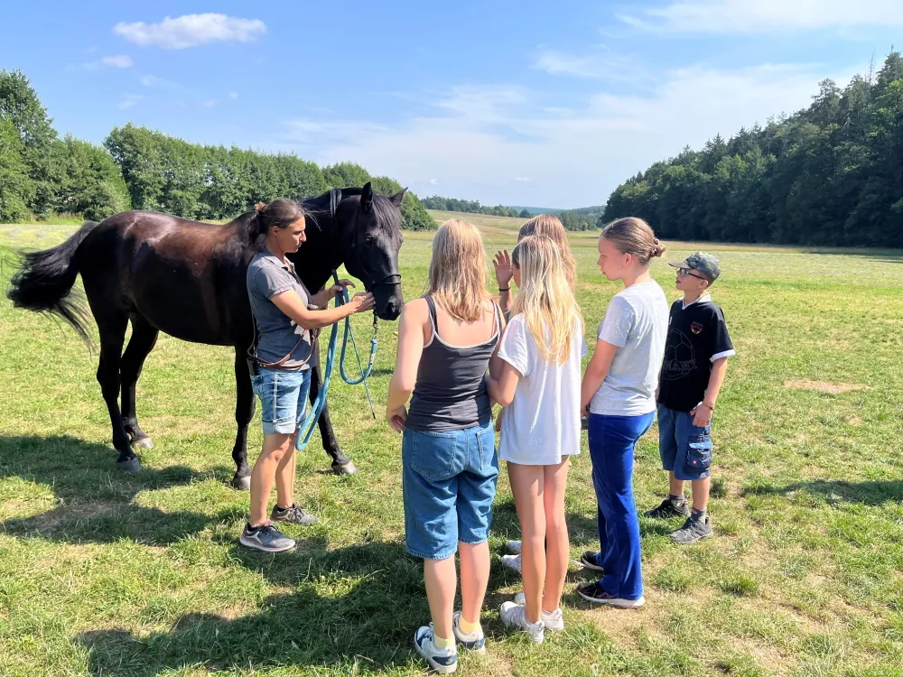 Ein dunkelbraunes Pferd steht mit Pferdephysiotherapeutin Inke Mommsen und 5 Kindern auf der Wiese am Jugendzeltplatz in Reutersbrunn.