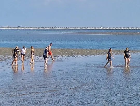 Personen Wandern durchs Wattmeer